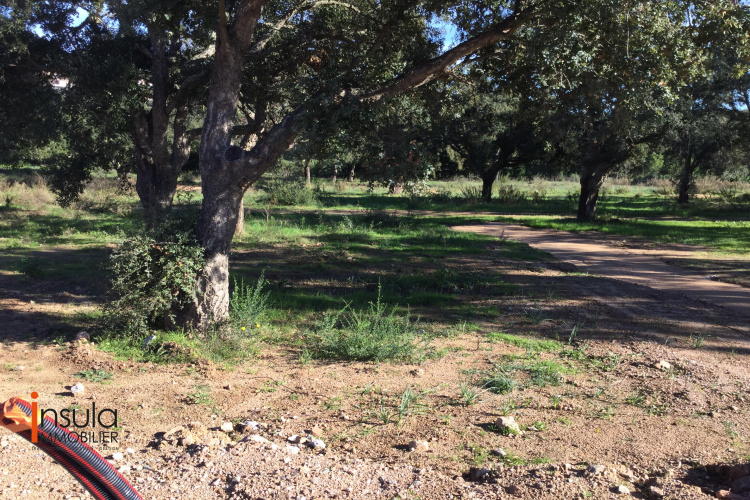 Domaine Les Collines De Pinarello